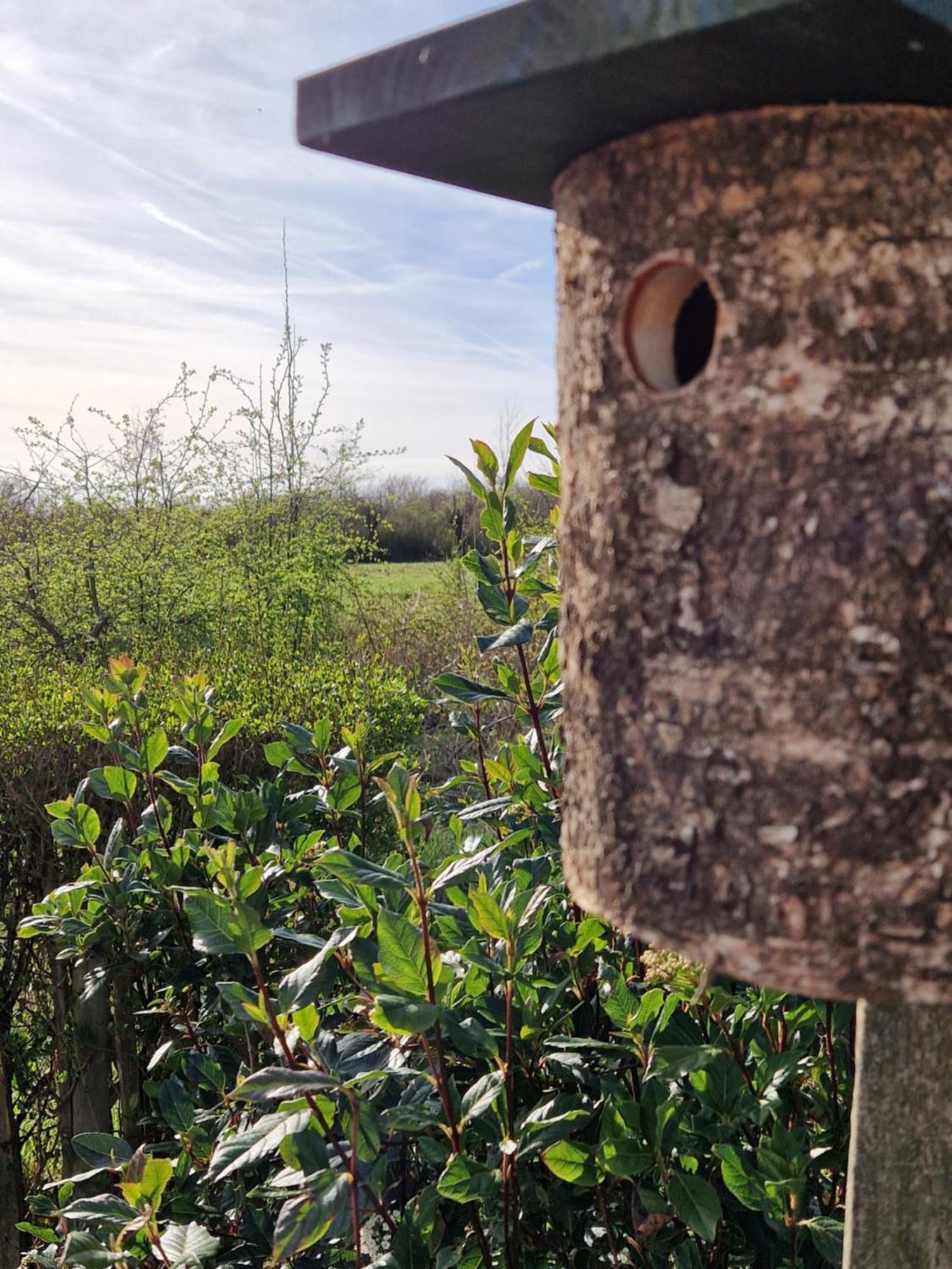 Kustverhuur, Groede, Paarlhof 17 Dış mekan fotoğraf